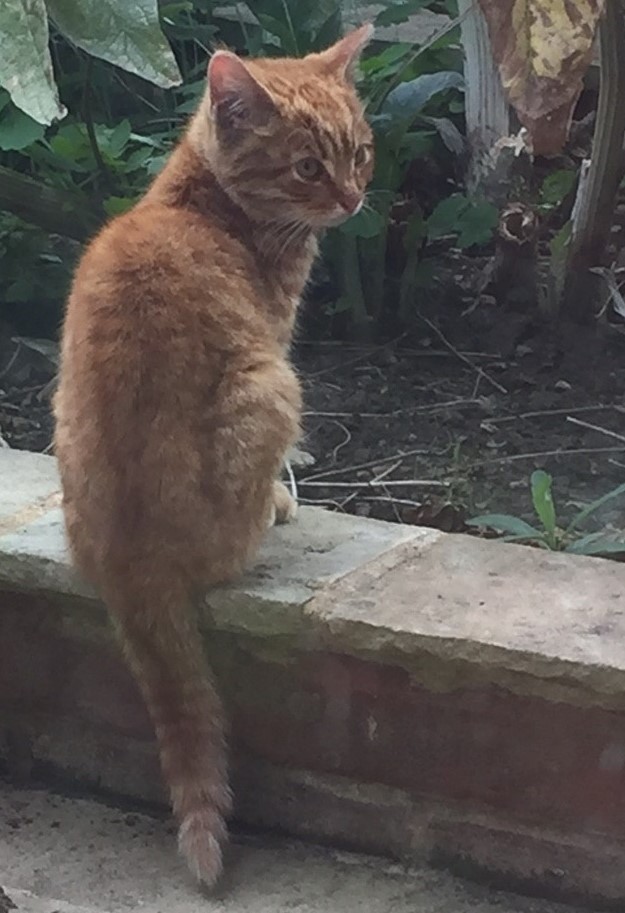 Cool/cute pictures – Orrelie&rsquo;s Website